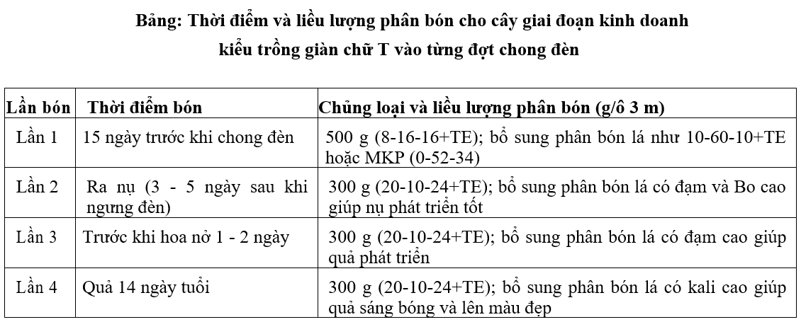 bảng phân bón 4_1674034854.png